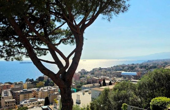 For sale Flat Sea Genova Liguria